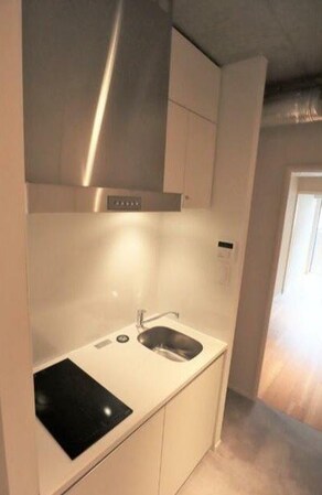 ドムス・スタイル押上の物件内観写真